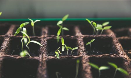 green-investing-4